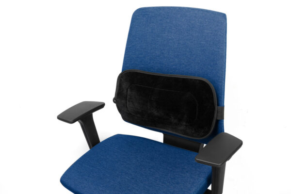 Seljatugi, täispuhutav, Lumbarfit